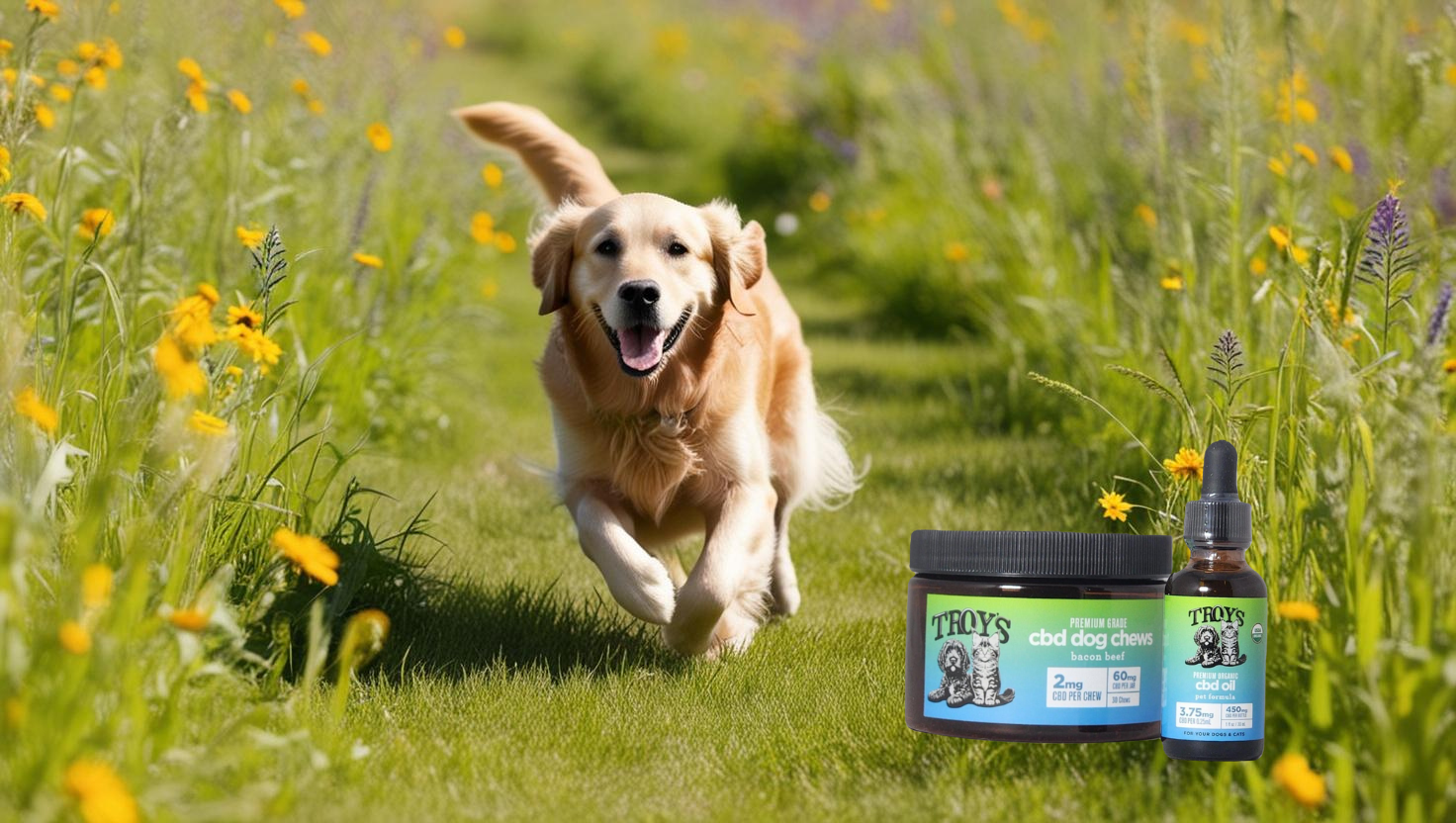 Discover the Magic of Troy's Premium Pet Products: A Natural Approach to Pet Wellness