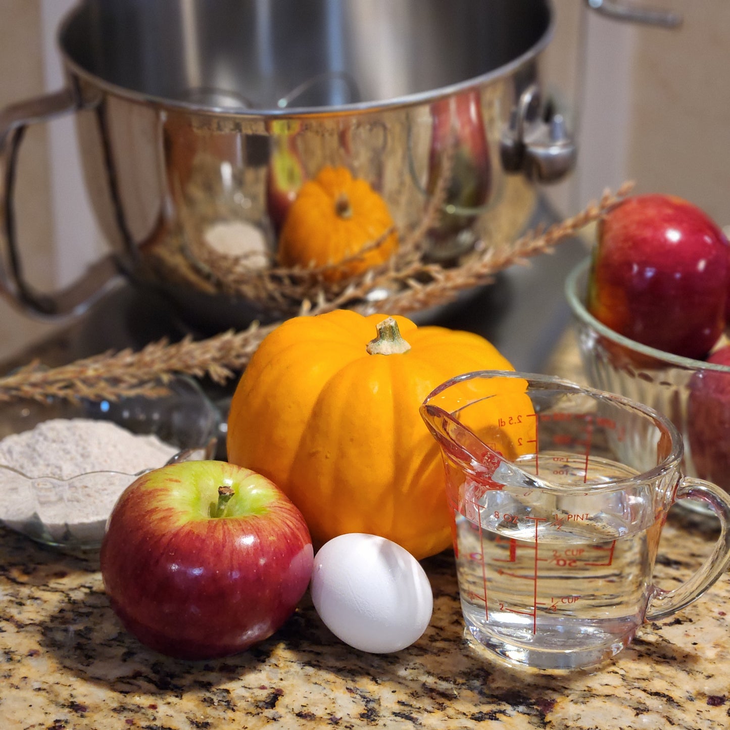 Bake Your Own Pumpkin & Apple Dog Biscuit Mix