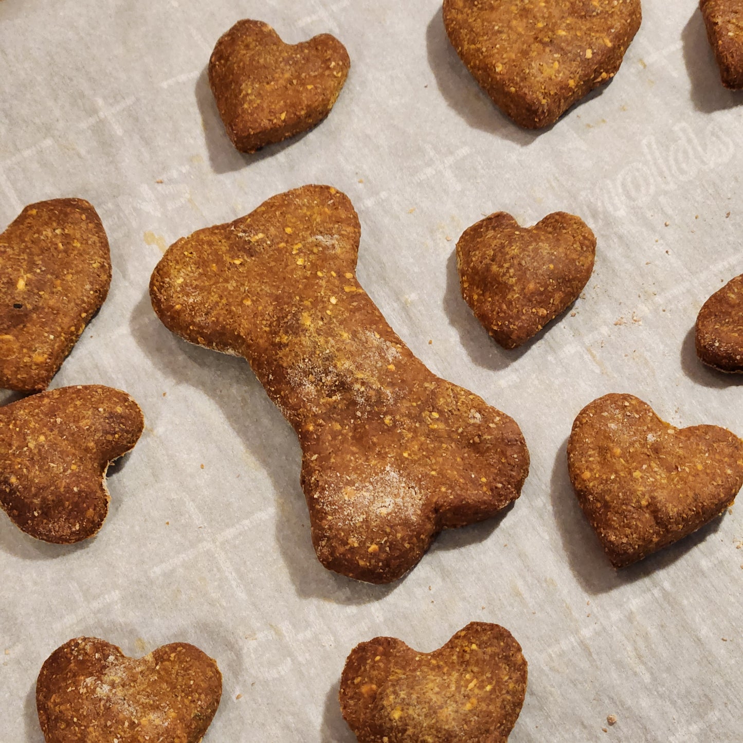 Bake Your Own Pumpkin & Apple Dog Biscuit Mix