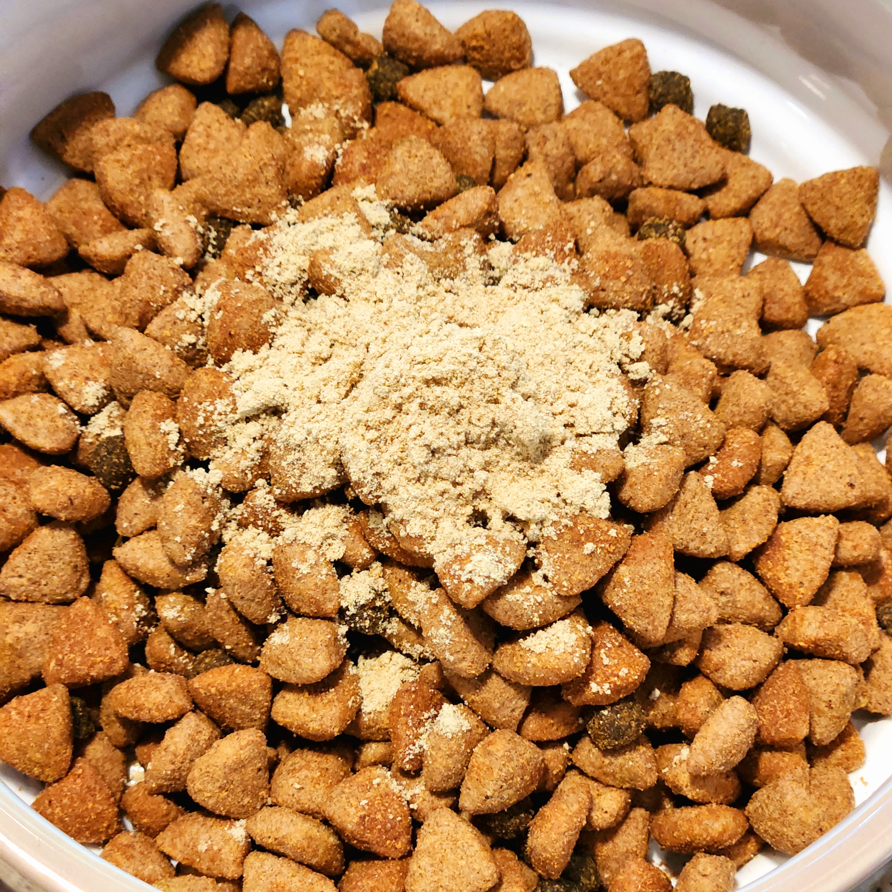 Grain-Free Pumpkin Probiotic Topper – Supports Gut Health in Cats & Dogs- Bundle of 2 save 20%