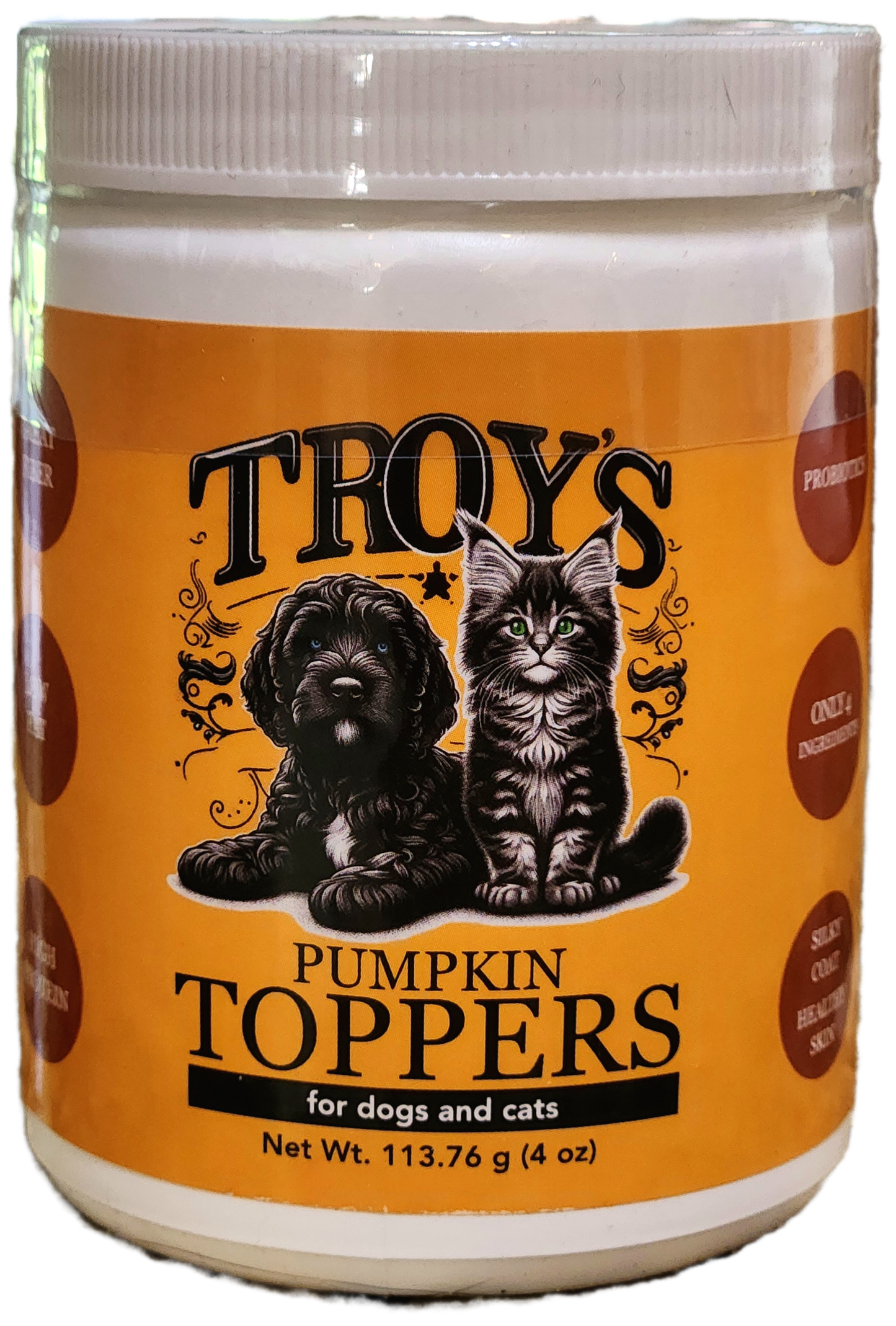 Troy's Pumpkin Topper for Cats and Dogs