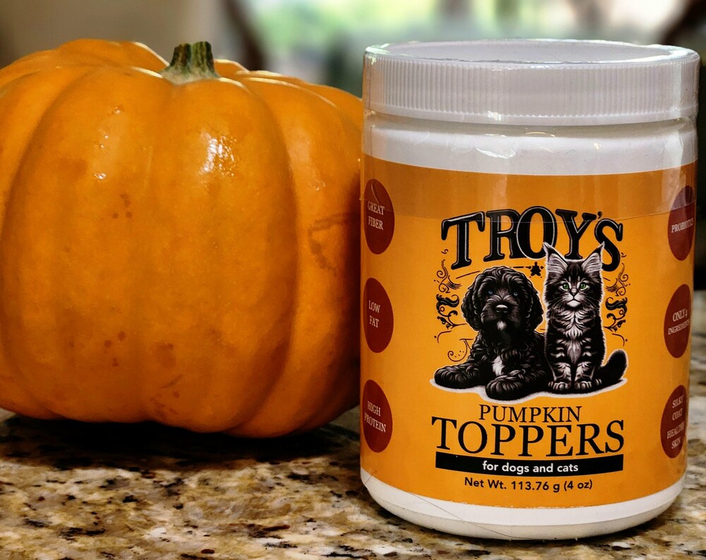 Troy's Pumpkin Topper for Cats and Dogs